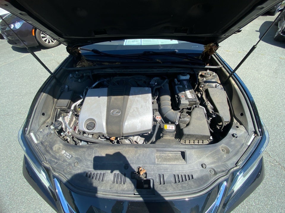2019 Lexus ES 350 ES 350