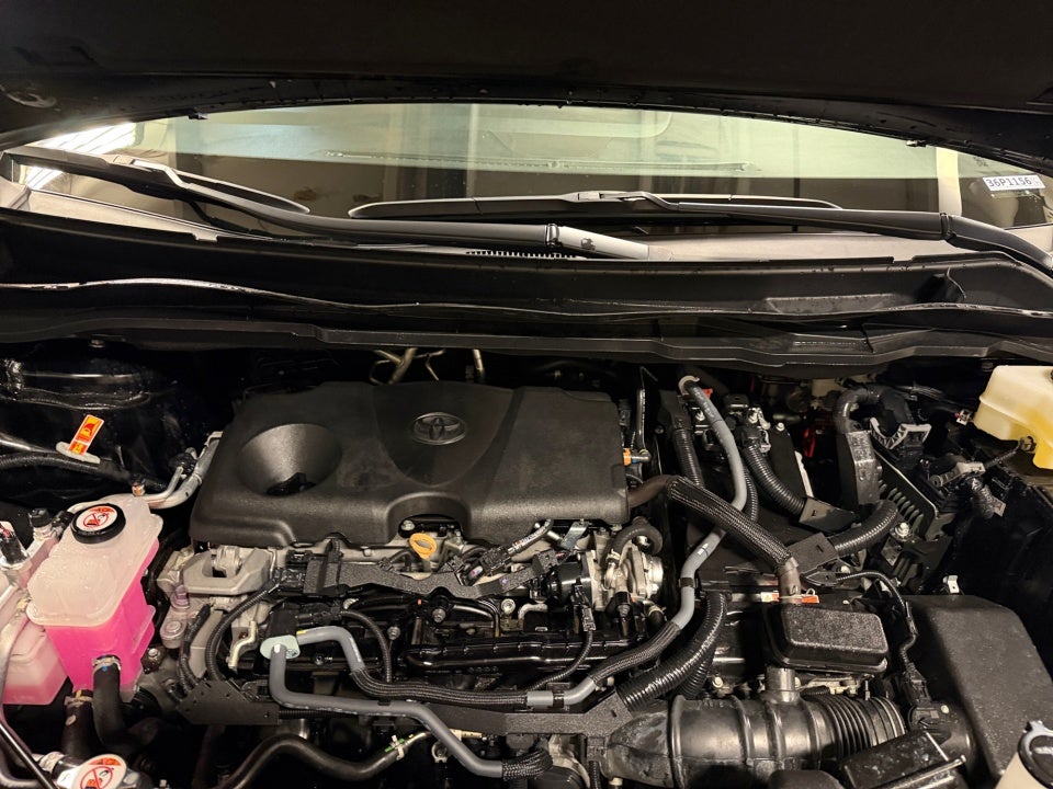 2025 Toyota Sienna XLE 8 Passenger