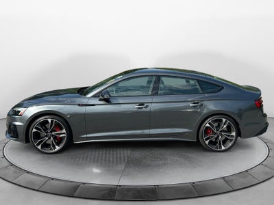 2025 Audi S5 Sportback Premium Plus