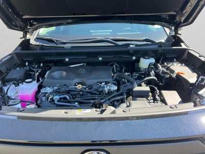 2026 Toyota RAV4 Woodland