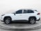 2024 Toyota RAV4 Hybrid Hybrid XLE