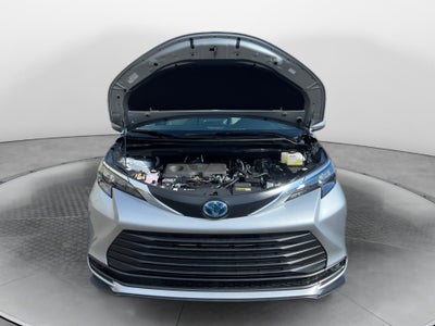 2025 Toyota Sienna LE