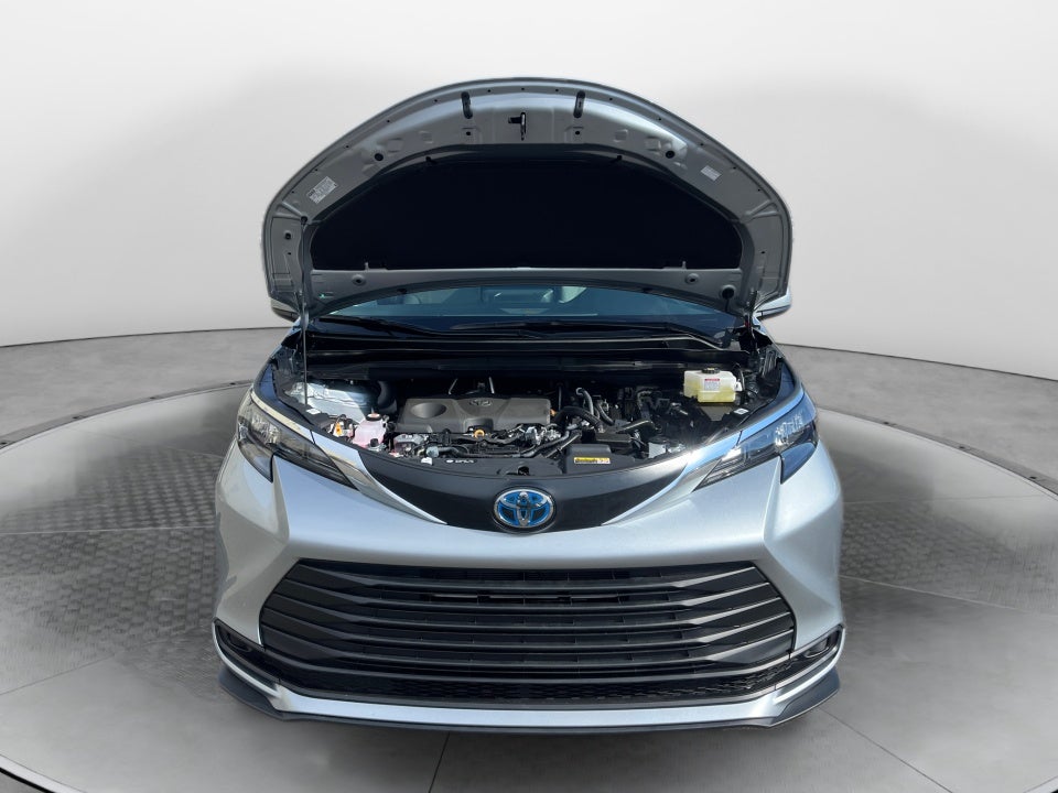 2025 Toyota Sienna LE