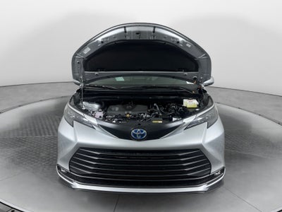 2025 Toyota Sienna XLE