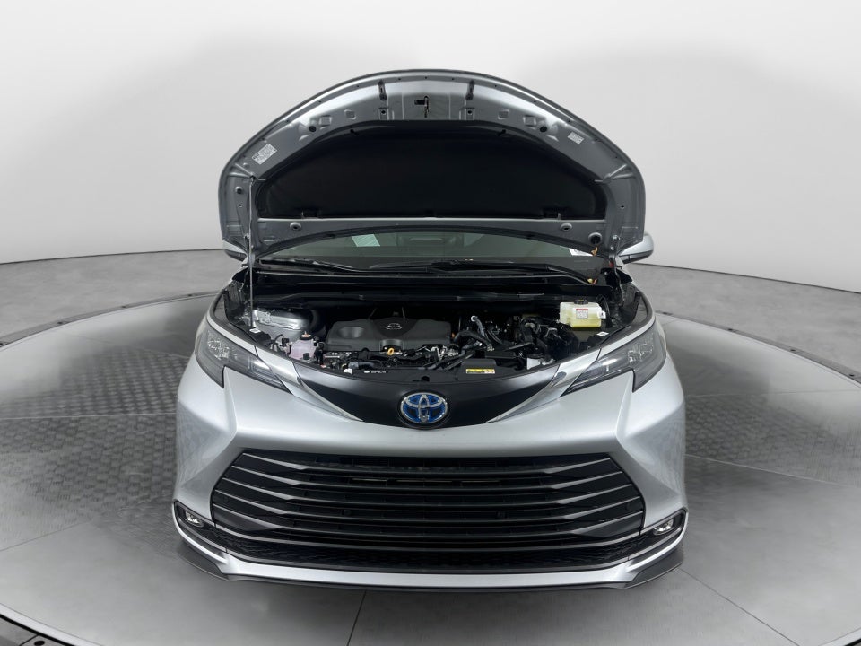 2025 Toyota Sienna XLE