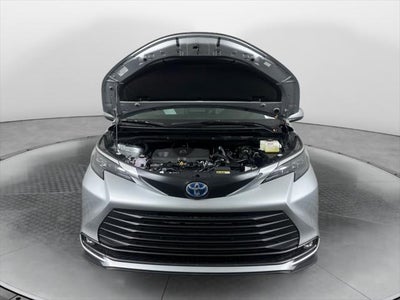 2025 Toyota Sienna XLE