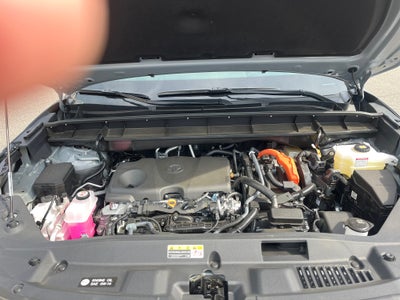 2025 Toyota Highlander Hybrid Hybrid XLE Nightshade