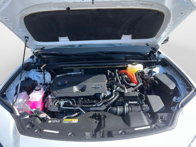 2026 Toyota Toyota Crown Signia XLE