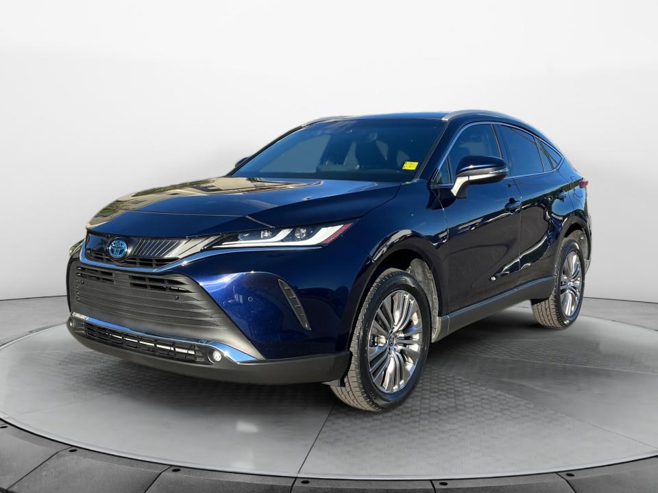 2024 Toyota Venza XLE