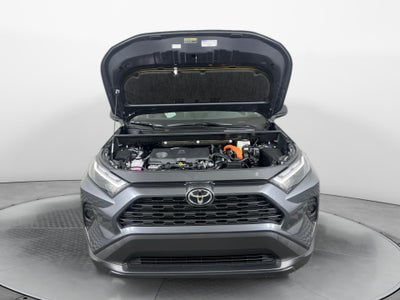 2025 Toyota RAV4 HYBRID LE