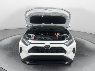 2025 Toyota RAV4 Hybrid Hybrid XLE
