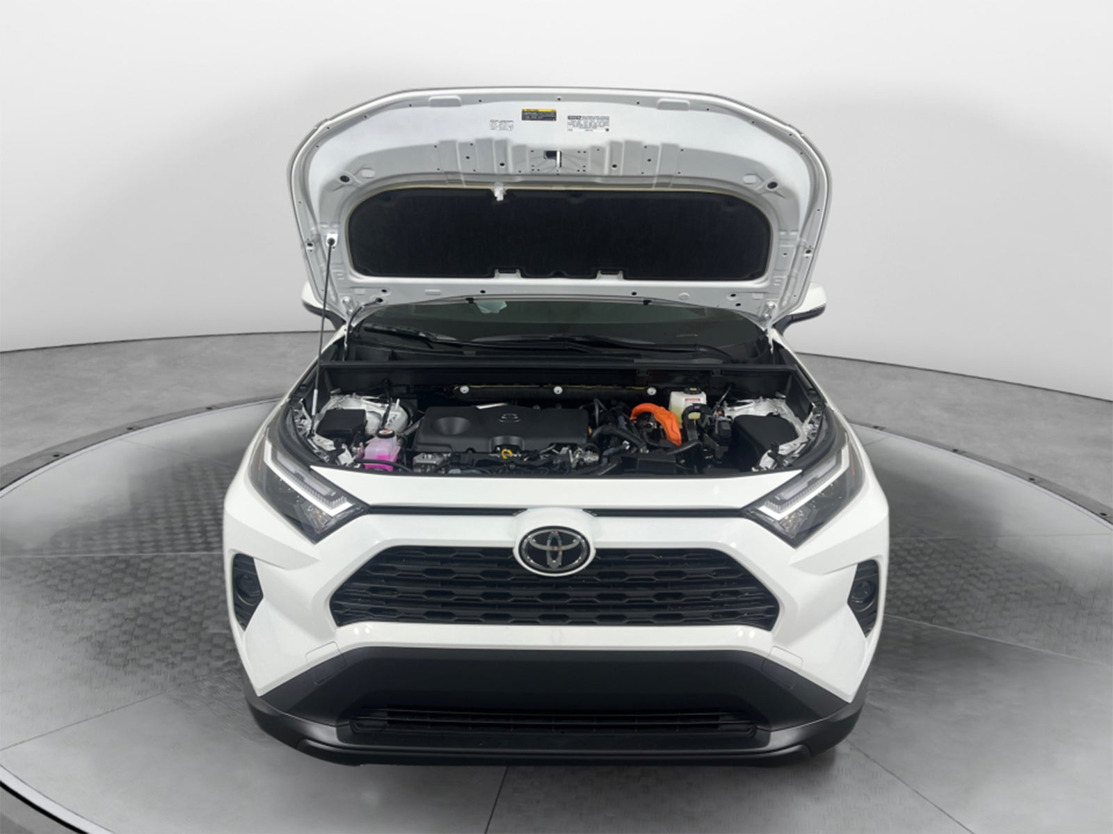2025 Toyota RAV4 Hybrid Hybrid XLE