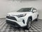 2025 Toyota RAV4 Hybrid Hybrid XLE