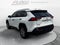 2025 Toyota RAV4 Hybrid Hybrid XLE