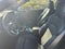 2021 Audi S5 Cabriolet Premium Plus TFSI quattro Tiptronic