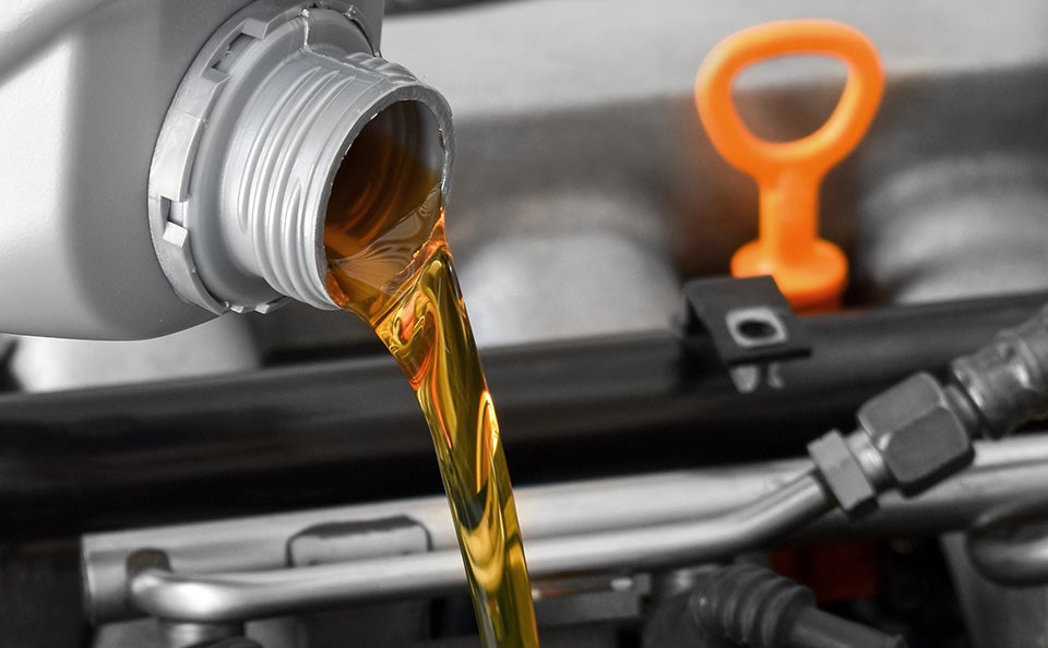 $20 Off Oil Change